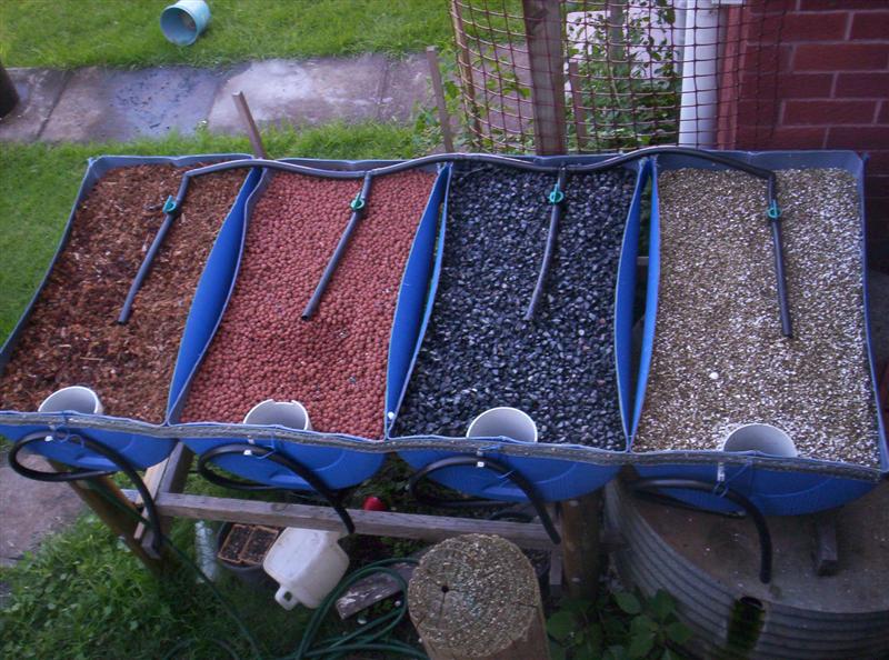 104_3099 (Medium).JPG