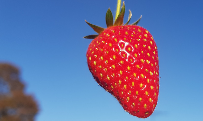 20201029 the sky.jpg