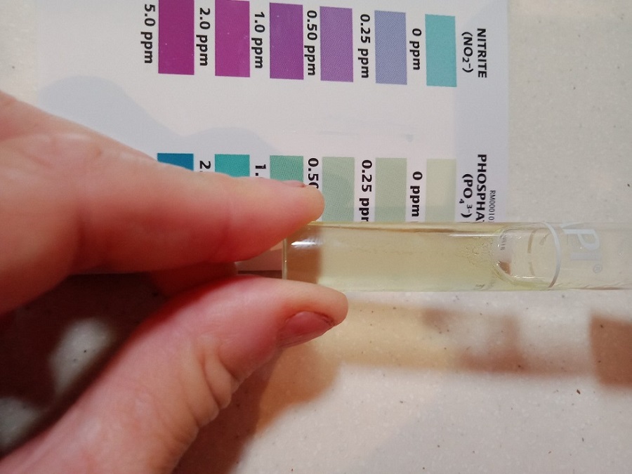 Phosphates - 5-11-20.jpg
