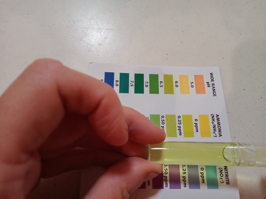 Ammonia - 5-11-20.jpg