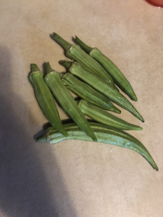 okra.jpg