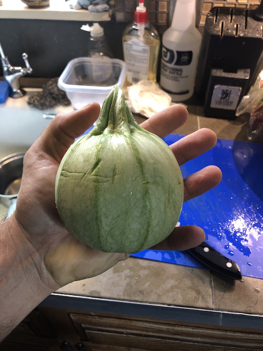 squash size.jpg