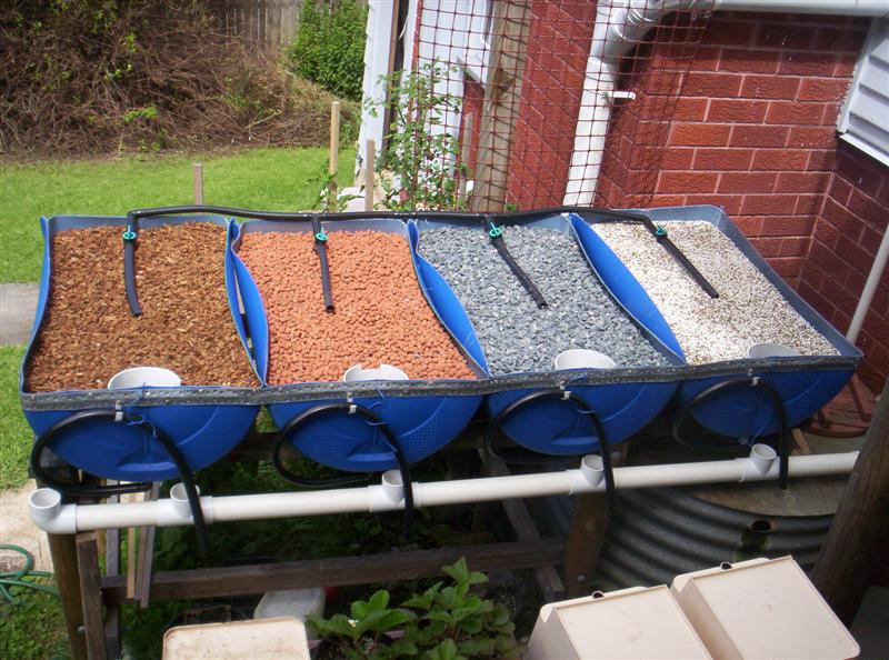 104_3104 (Medium).JPG