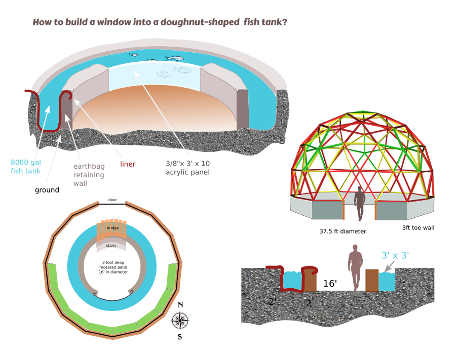 greenhouse tank window questions.png