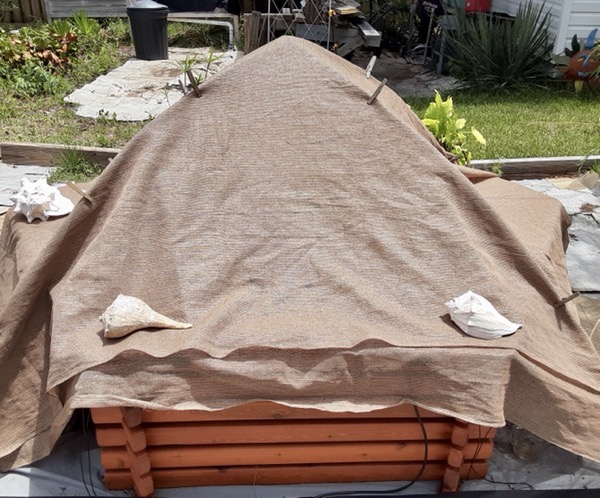 AP pond front June 2021.JPEG