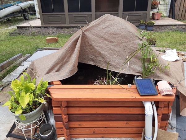 AP back June 2021.JPEG