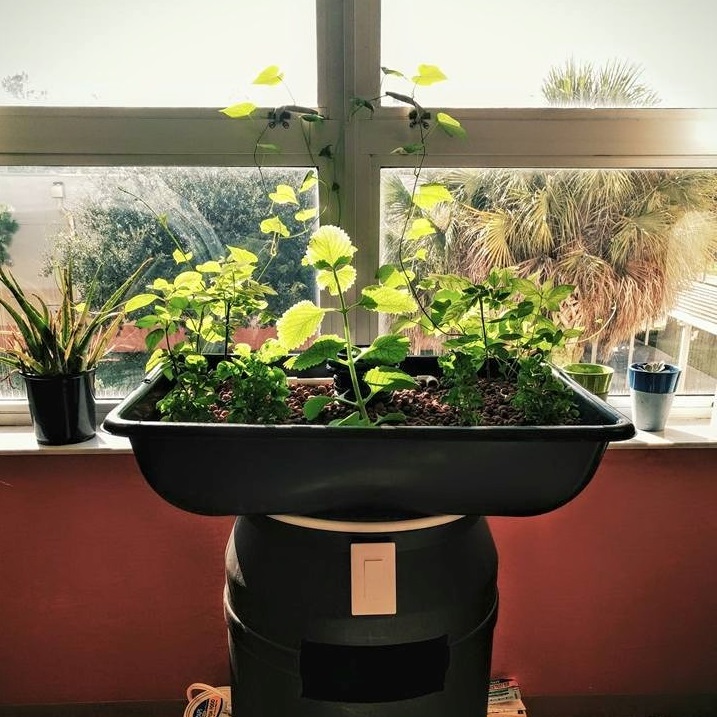 55 gallon system cropped IG.jpg