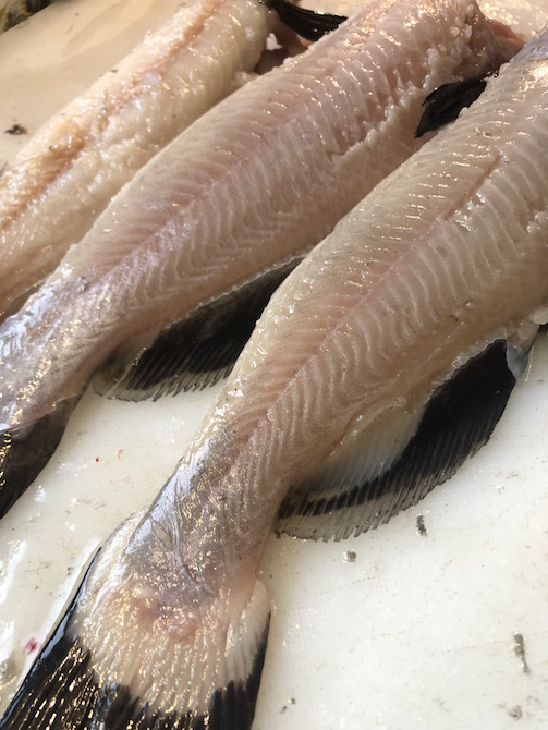 skinned fish.jpg