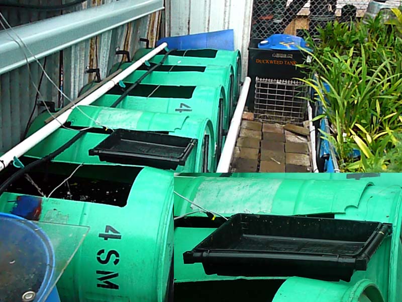 20-02-'008 015 r_c copy.jpg