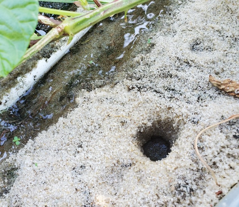 20210916_161035_resized_1 Bed 1.jpg