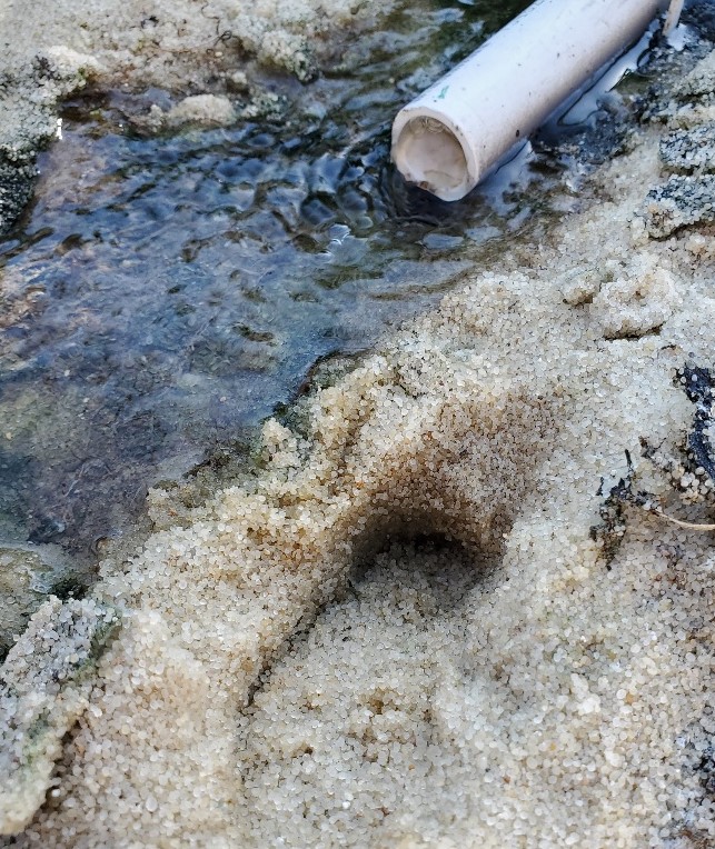 20210916_161018_resized_1 Bed 2.jpg