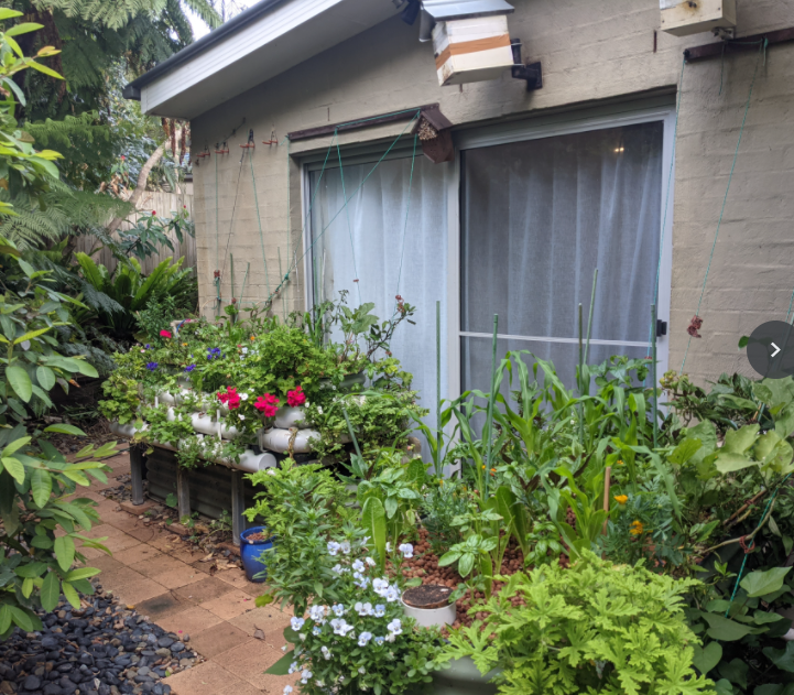 Screenshot 2021-10-27 08.31.47.png