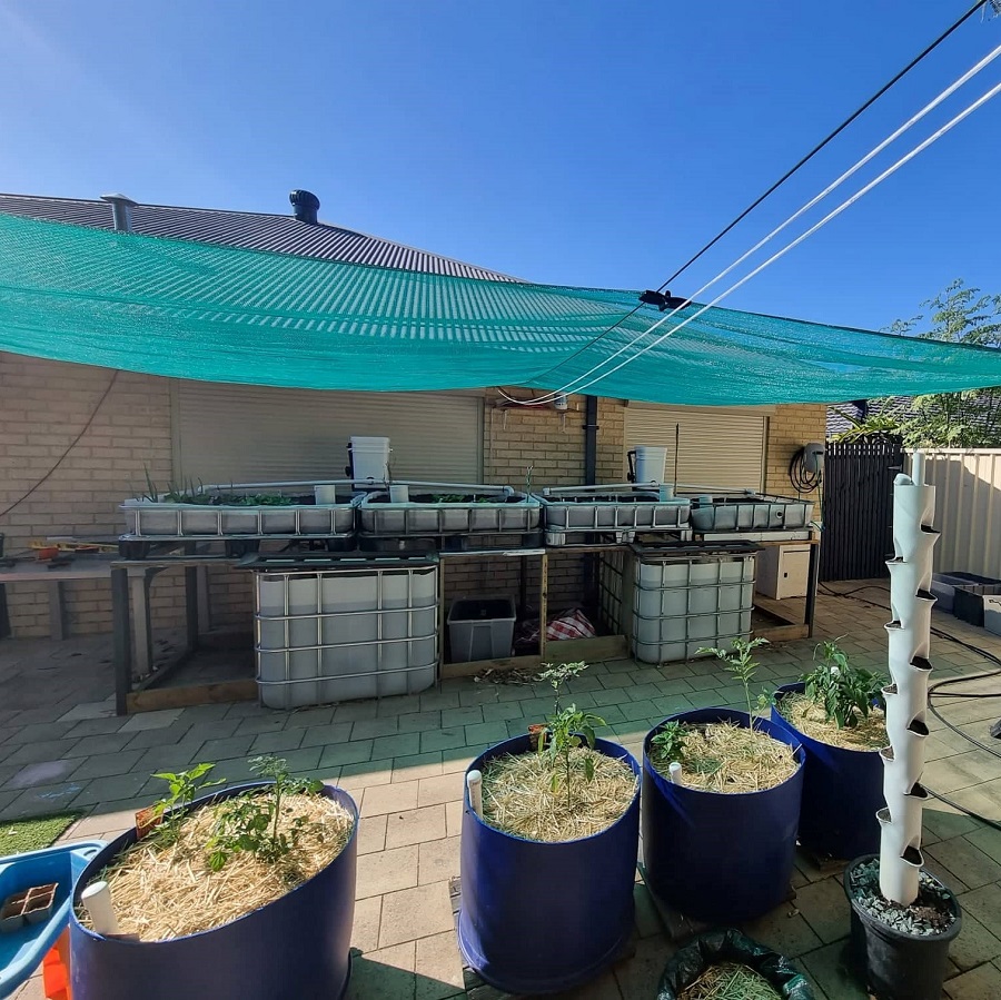 Aquaponics-system (2).jpg