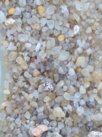 11_closeup_sand.jpg