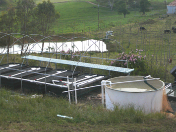 farm aquaponics-s.jpg