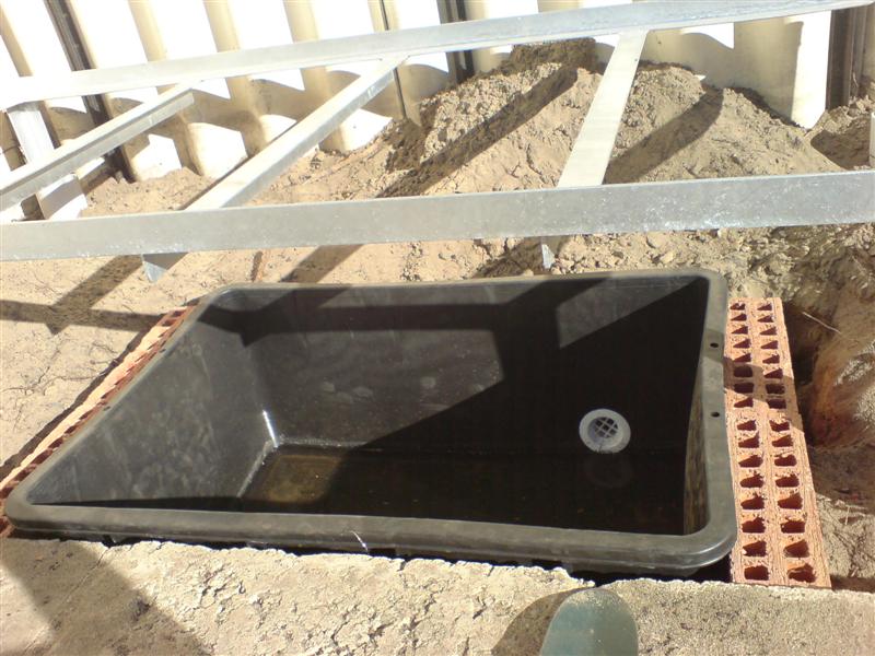 DSC00028 (Medium).JPG