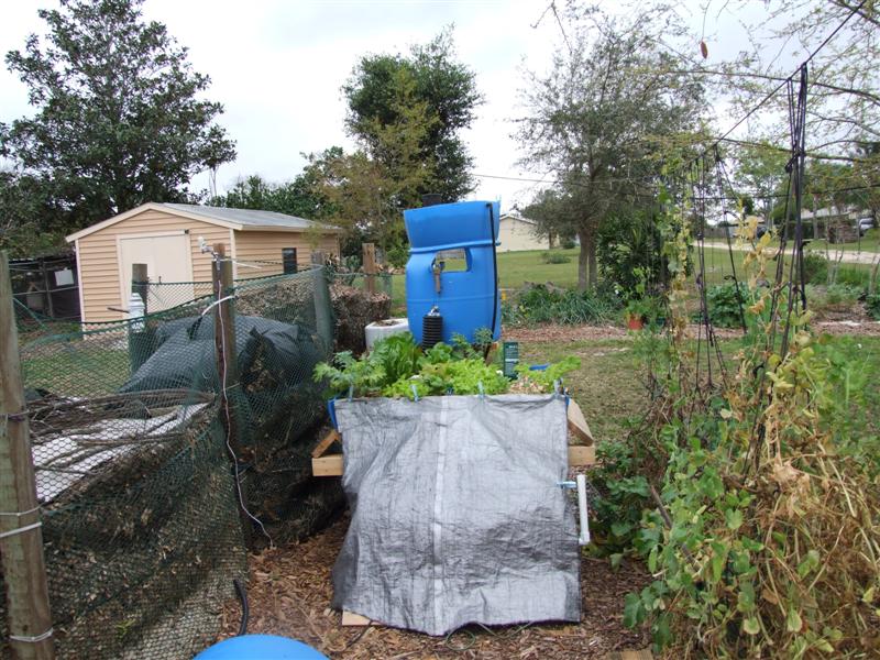 pp 02262008 (Medium).JPG