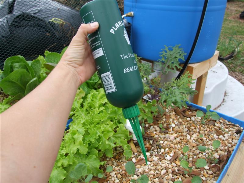 dripper bottle (Medium).JPG