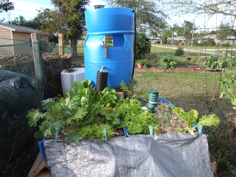 pp 02272008 (Medium).JPG