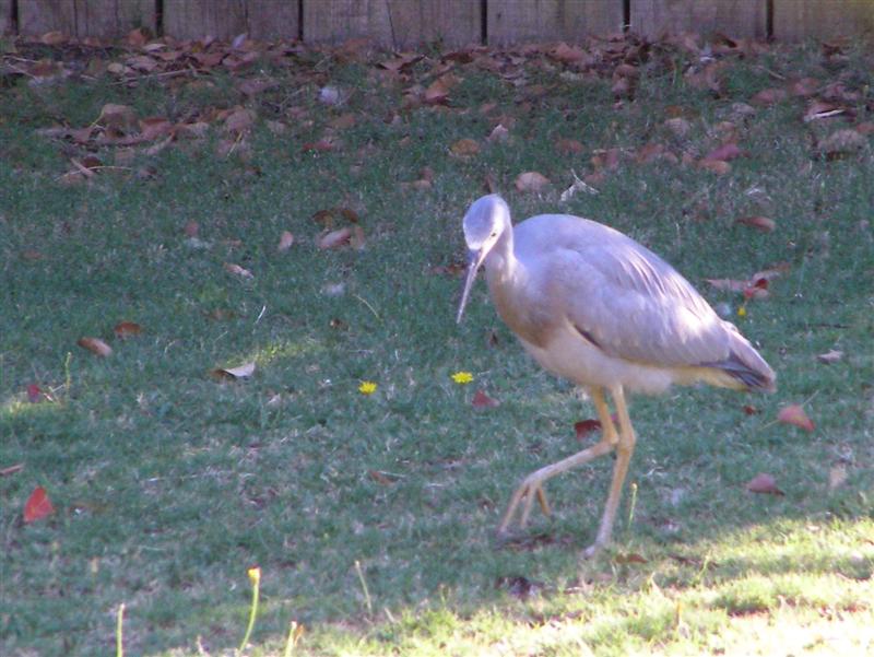 P2280018 (Medium).JPG