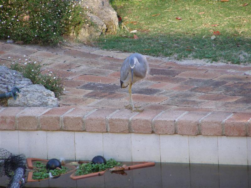 P2280024 (Medium).JPG