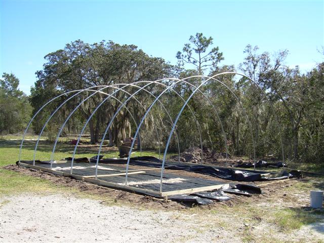 DSCN0743 (Small).JPG