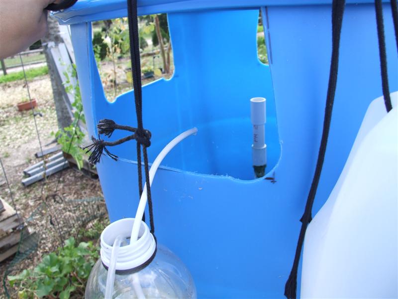 gurgle dripper (Medium).JPG