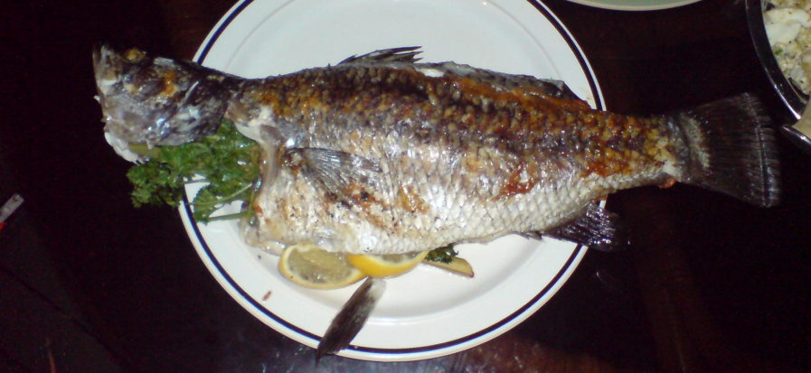 eating barra (8) ready to eat1.jpg