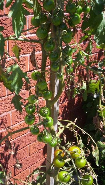 104_3130 (Medium).JPG