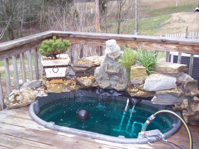 birthday 022 [640x480].JPG