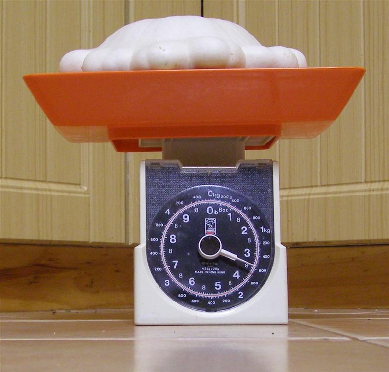 1550 grams (Medium).JPG