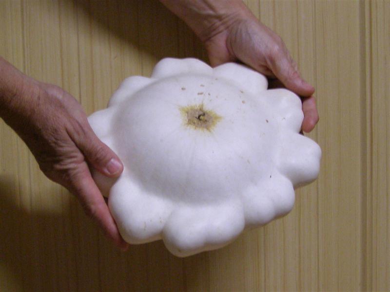 It takes two hands... (Medium).JPG