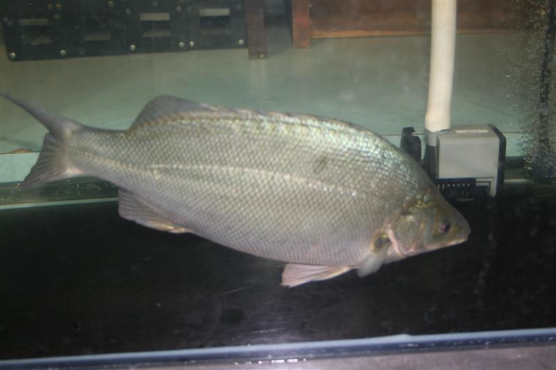 IMG_3725 (Medium).JPG