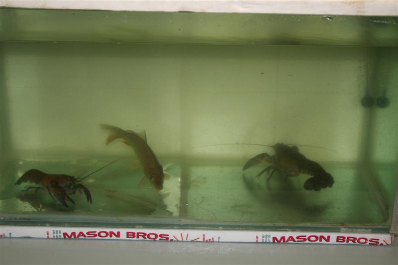 IMG_3727 (Medium).JPG