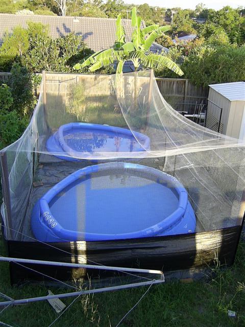 PIC_1044 (Small).JPG