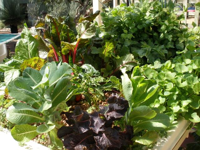 Piece de resistance.jpg