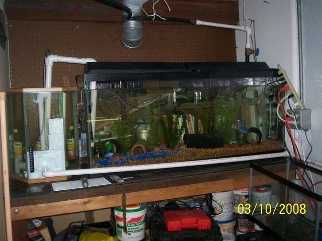 100_0417 (Small).jpg