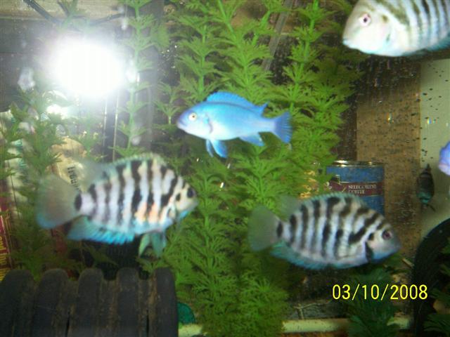 100_0421 (Small).jpg