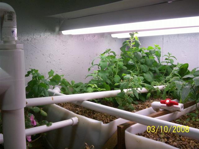 100_0430 (Small).jpg