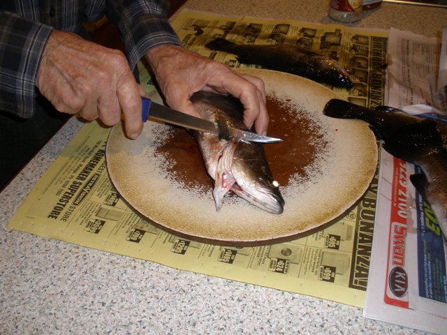 Removing the head before scaling and gutting..jpg