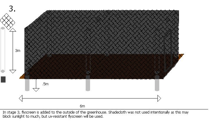 Greenhouse3.JPG