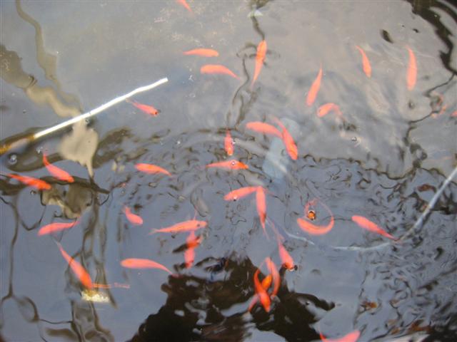 IMG_0503 (Small).jpg