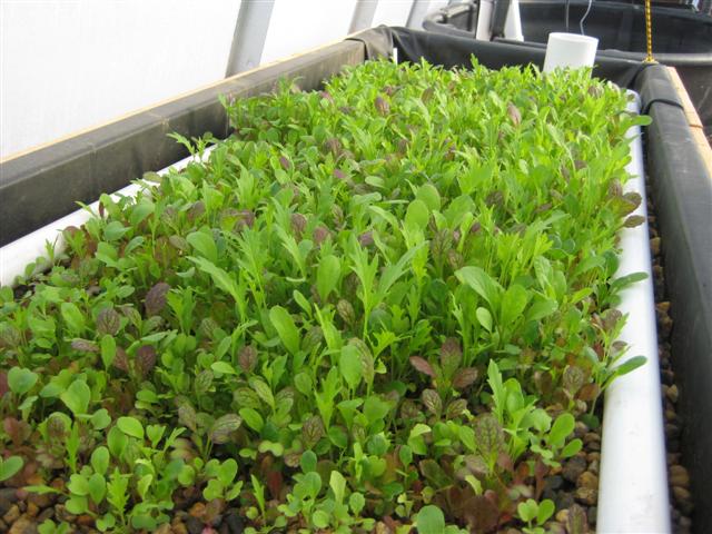 IMG_0500 (Small).jpg