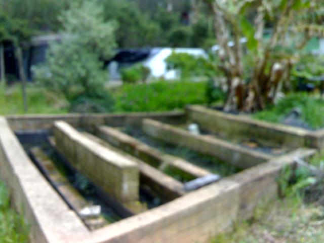 grey water creek wr.jpg