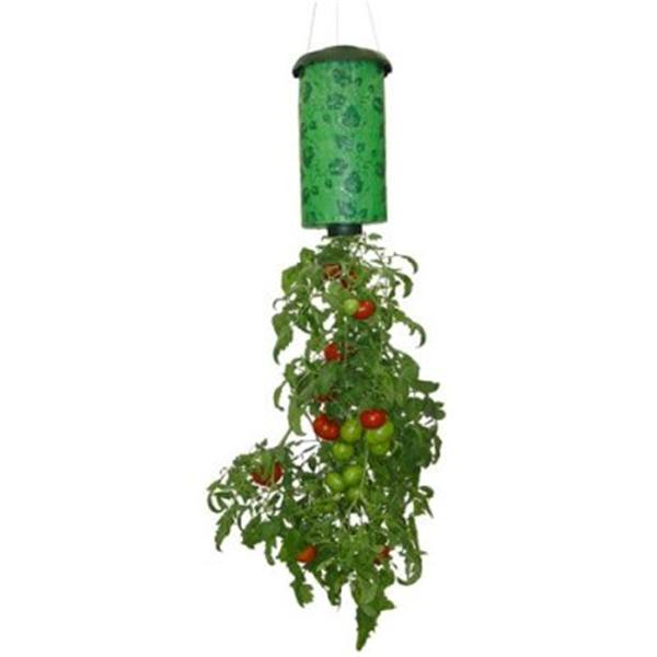 upsidedown-tomato-planter (Medium).jpg