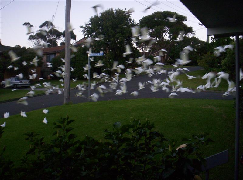 104_3109 (Medium).JPG