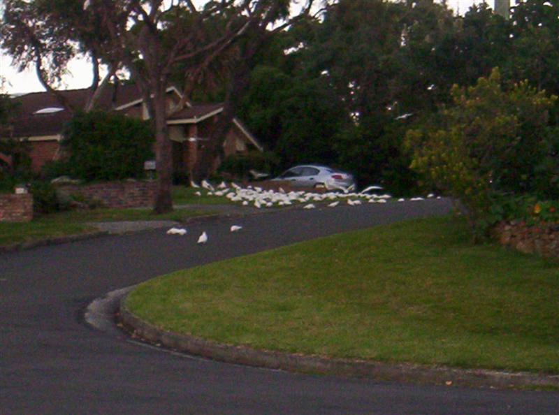 104_3112 (Medium).JPG