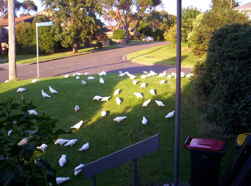 104_3113 (Medium).JPG