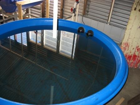 fish tank showing over flows to sump.JPG
