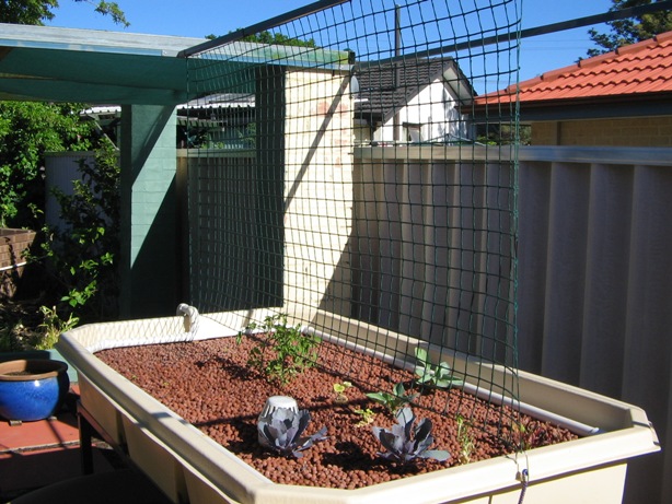 mesh for the climbers.jpg